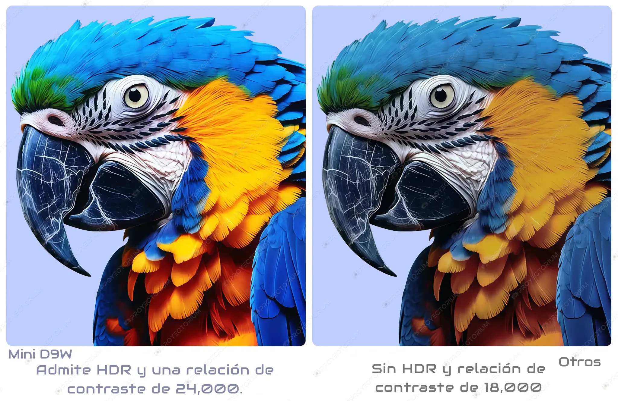 Proyector Flixtone D9W Mini - 4K / 2500 ANSI Lúmenes / Android / Enfoque Automático / HDR Flixtone_D9W_Mini.04 - 📽️ Proyector Flixtone D9W Mini 4K - 2500 ANSI lúmenes, HDR y Android