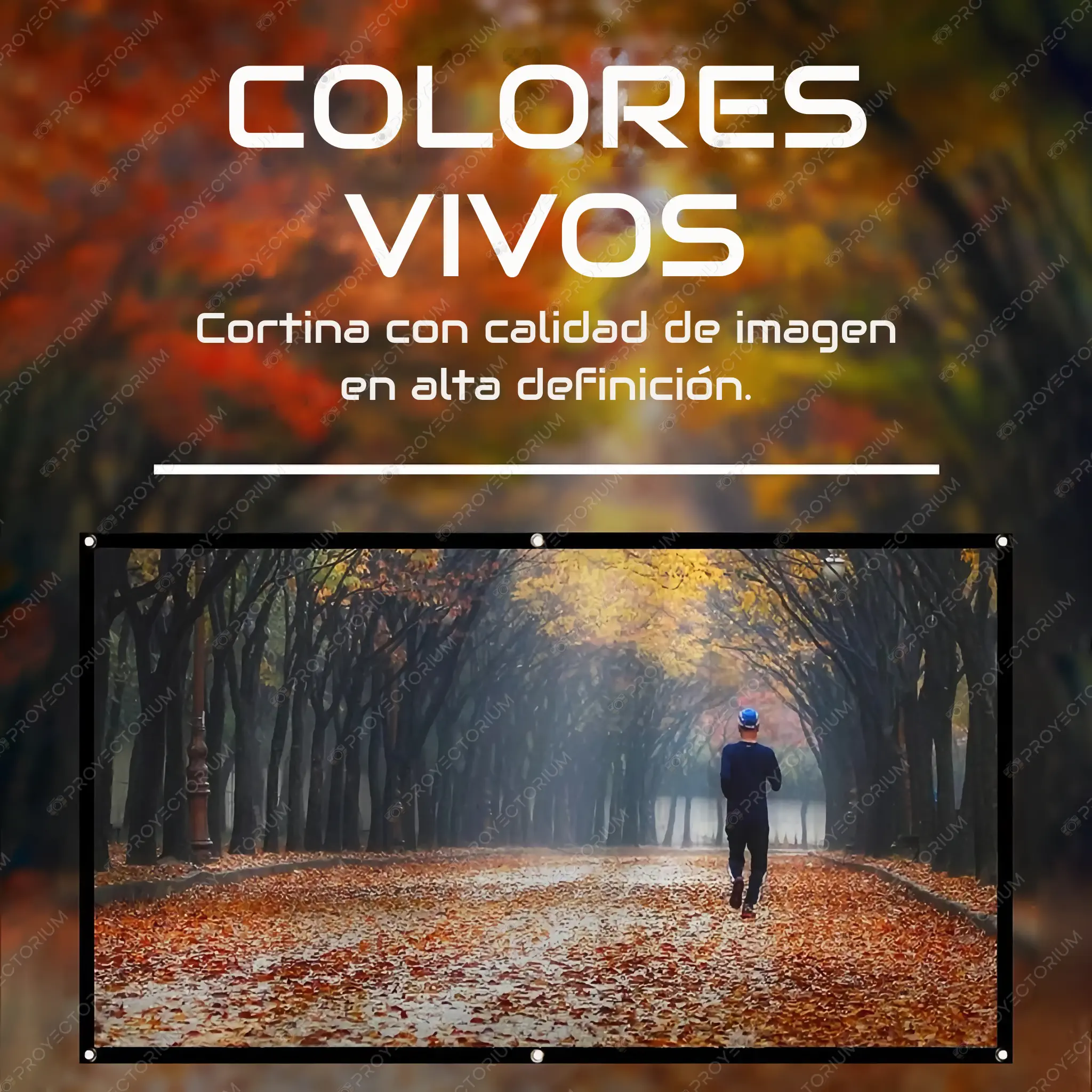 Pantalla Proyector Plegable - 60 Pantalla_Proyector_Plegable.03 - 🏞 Pantalla Proyector Plegable - 60